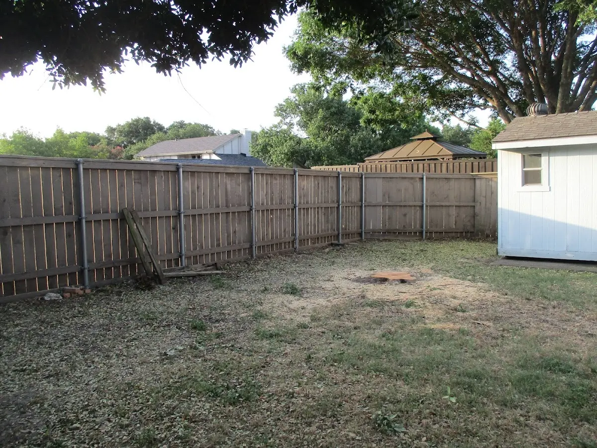 Cleared yard after professional tree removal in Cortlandt Manor